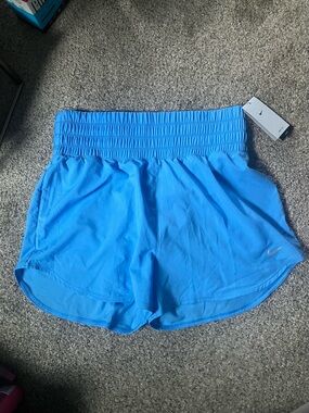 Nike Light Blue Athletic Shorts